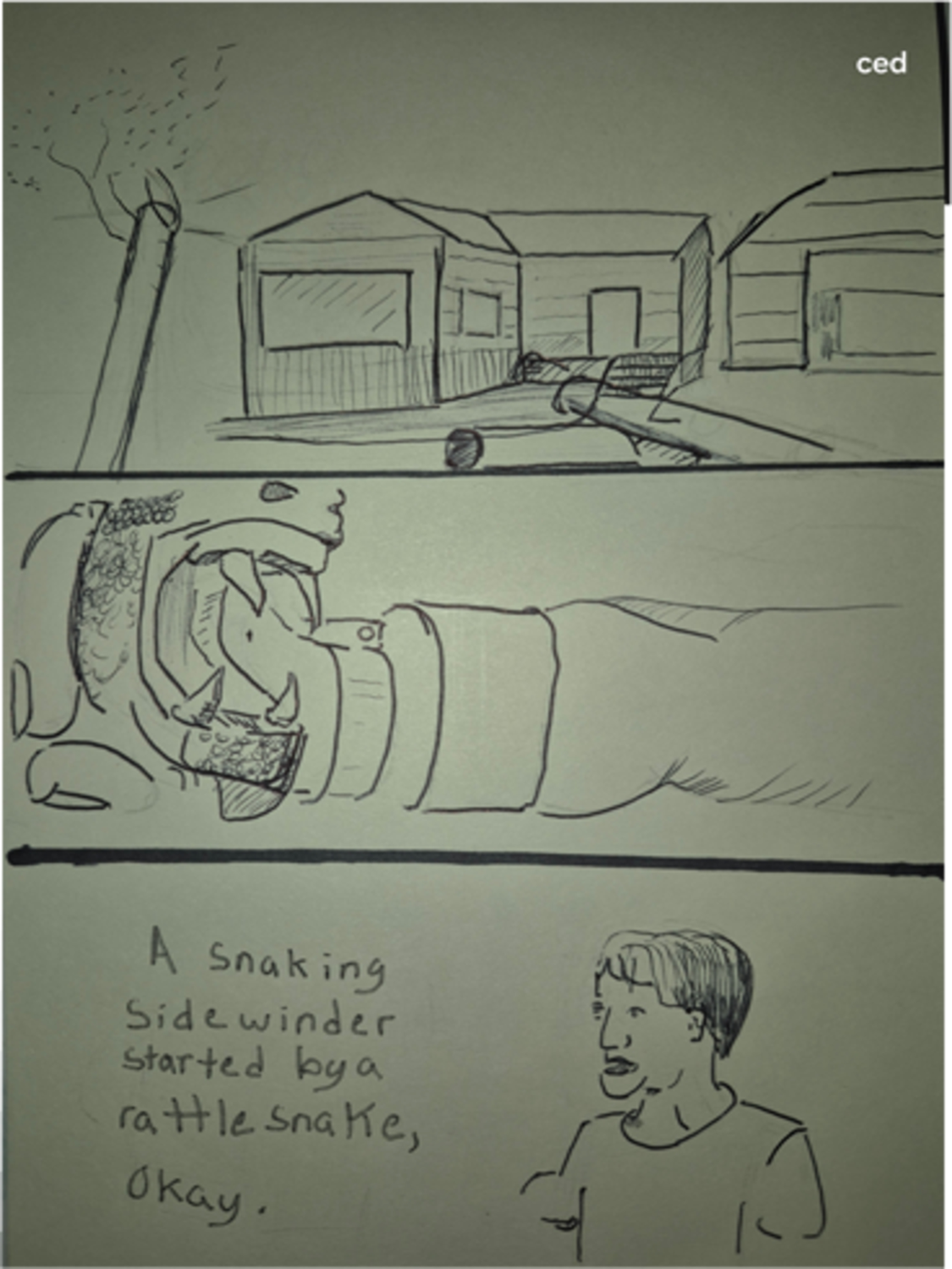 Inked Path: The details are debated., the quibbles of the scribbles, the clone did it, used or not, late to the party, puzzlement, amongst the frames, rovacsa