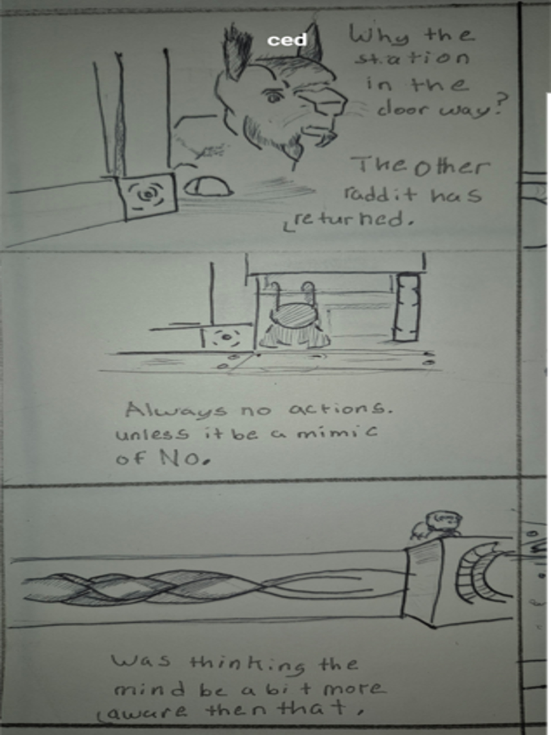 Inked path: A crazed thinking or a path. - web comic strip entry of - amongst the frames