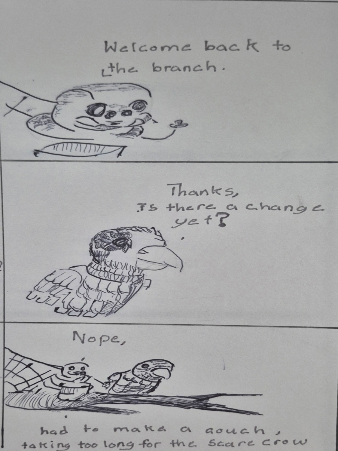 Amongst the Frames: Undoing a way puzzlement, amongst the frames