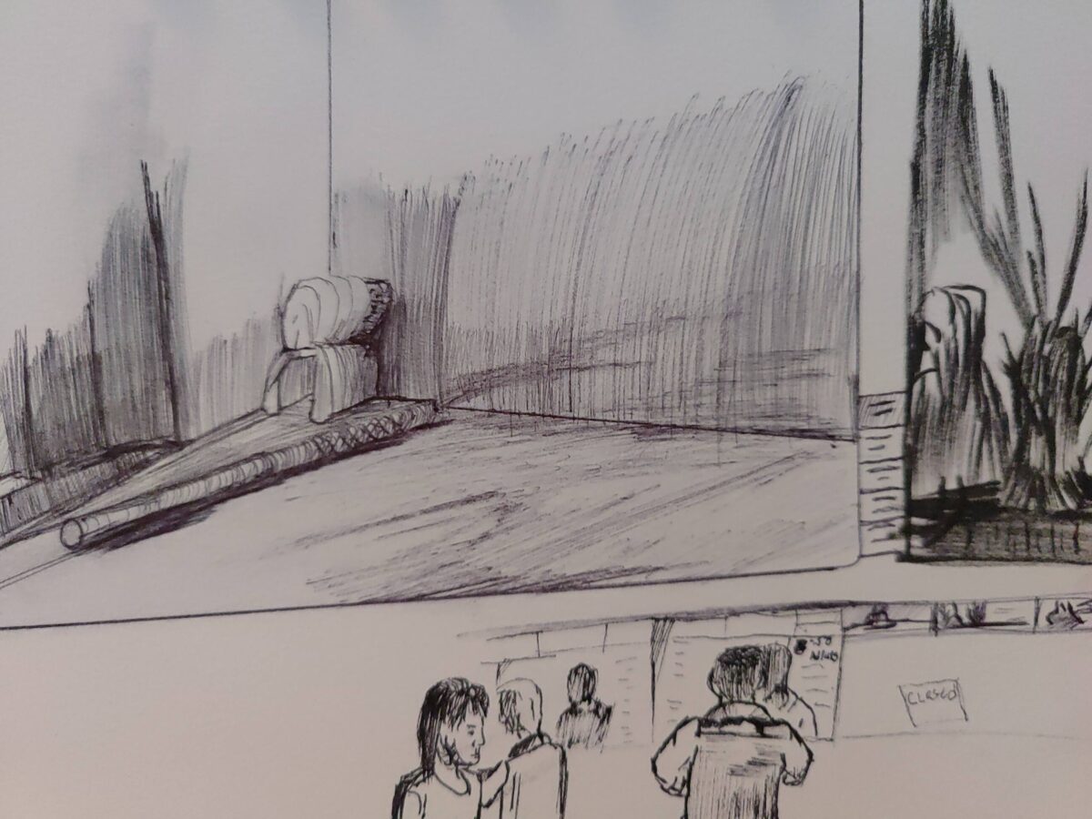 Inked path: Sea Turtles don’t play card games., how to clear, comic art, comic strips, inkedpath, Quibbles of the scribbles, the clone did it, webcomic, Away-ink, Late to the party, puzzlement, used or not.