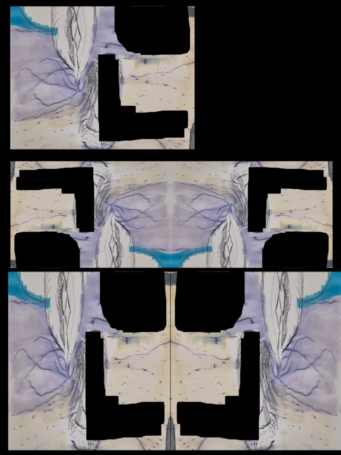 Inked path: Sea Turtles don’t play card games., how to clear, comic art, comic strips, inkedpath, Quibbles of the scribbles, the clone did it, webcomic, Away-ink, Late to the party, puzzlement, used or not.
