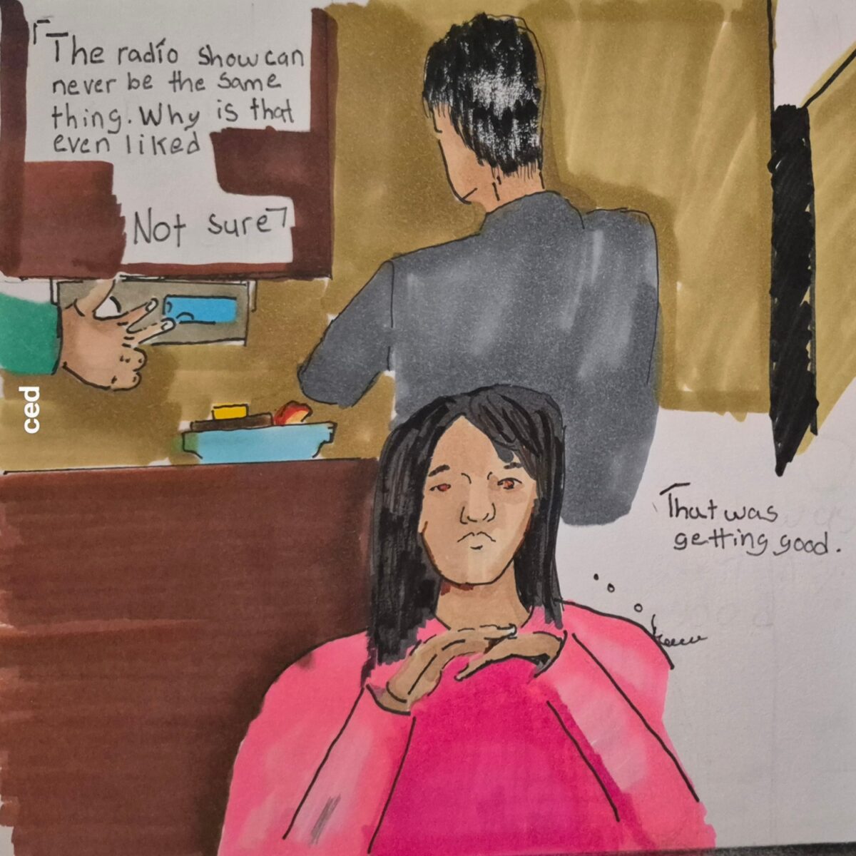 comic art, comic strips, inkedpath, puzzlement, webcomic, The Clone Did It, Colloquy, radio reports, Mayor's Court data has cubby holes, Lisa losing the radio, and the Canox family is seen.