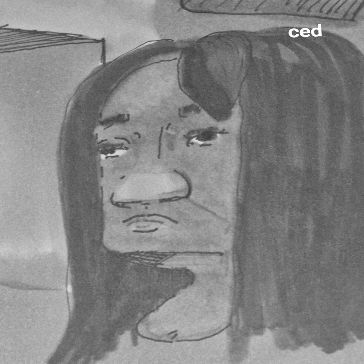comic art, comic strips, inkedpath, puzzlement, webcomic, The Clone Did It, Colloquy, radio reports, Mayor's Court data has cubby holes, Jenny Homes
