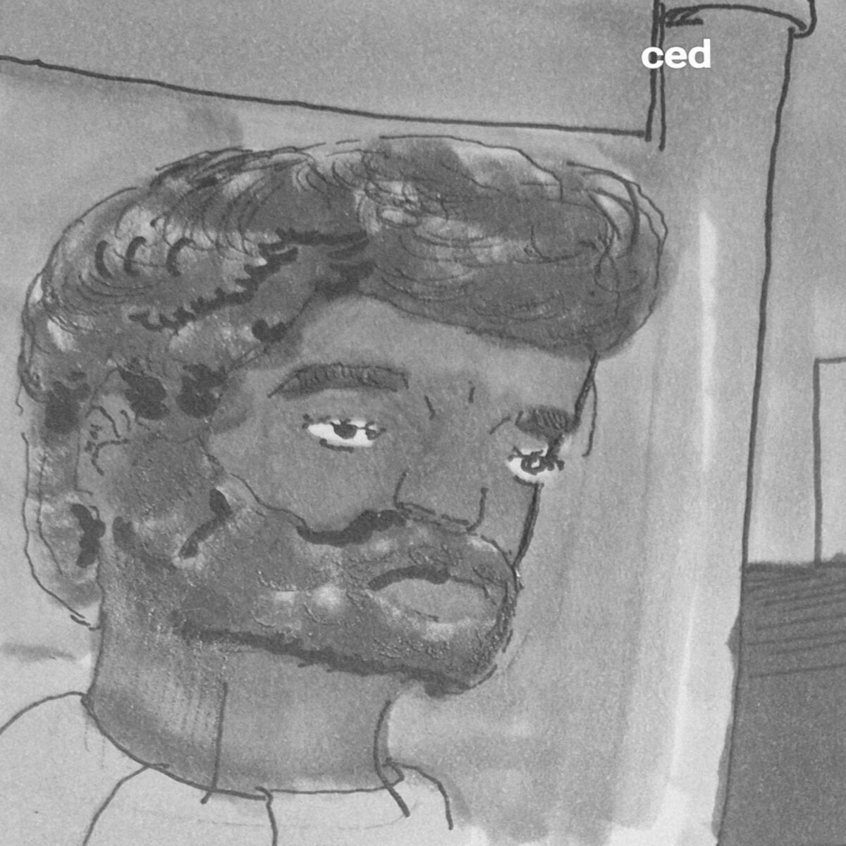comic art, comic strips, inkedpath, puzzlement, webcomic, The Clone Did It, Colloquy, radio reports, Mayor's Court data has cubby holes,  Franklin 